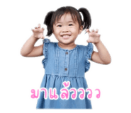 800446618