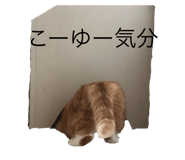800466968