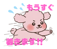 800468384