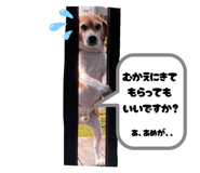 800490655
