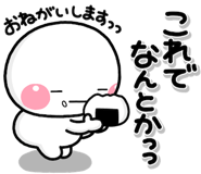 800494231
