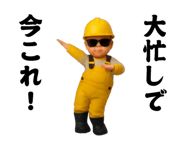 800494794