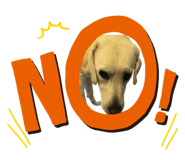 800528632
