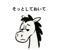 800552556