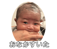 800553058