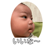 800553065