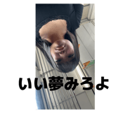 800553750