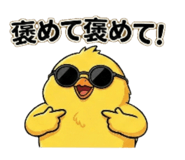 800554155