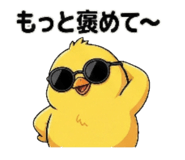 800554156