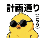800554157