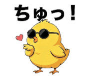 800554162