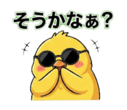 800554164