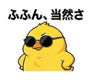 800554167