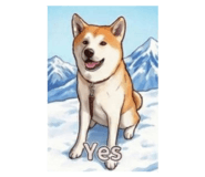 800554177