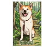 800554178
