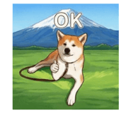 800554183