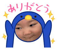 800627518