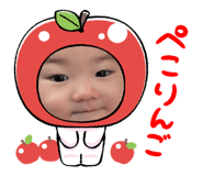 800627519