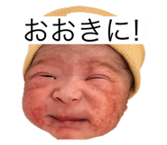 800637509