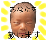 800637512