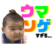 800637954