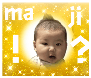800637963