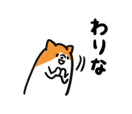 8006568