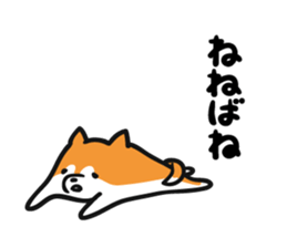 8006577
