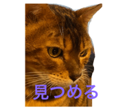 800658713