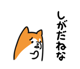 8006589