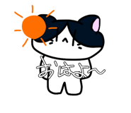 800660297