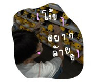 800666764