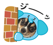 800681678