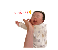 800685332
