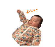 800685334