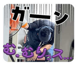 800687351