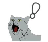 800688634