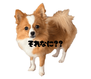 800708498