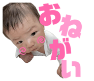 800713948