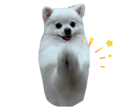 800811468