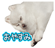 800811469