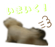 800840777