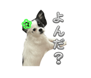 800880385