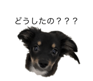 800910724