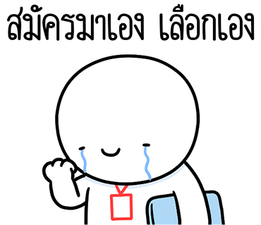ลายที่ 12