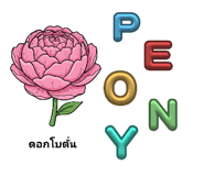 800962341