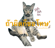 800979020