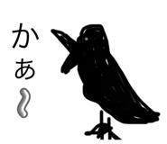 801017138