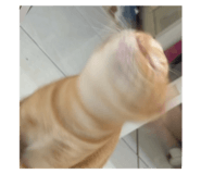 801050672