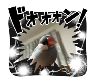 801051433